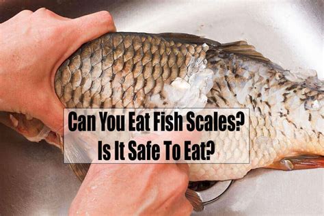 Is It Ok To Eat Fish Scales