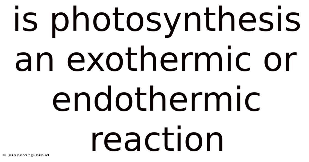 Is Photosynthesis An Exothermic Or Endothermic Reaction