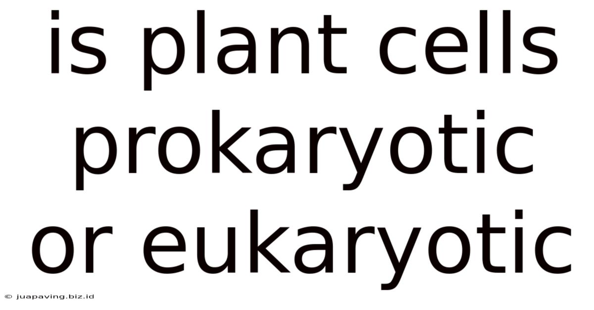 Is Plant Cells Prokaryotic Or Eukaryotic