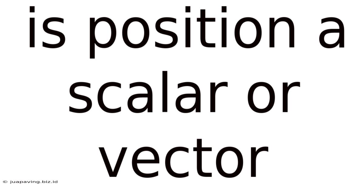 Is Position A Scalar Or Vector
