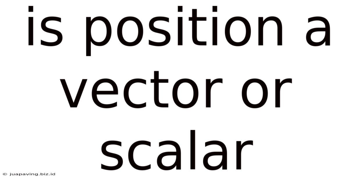 Is Position A Vector Or Scalar