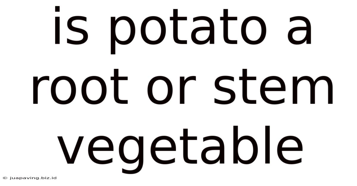 Is Potato A Root Or Stem Vegetable
