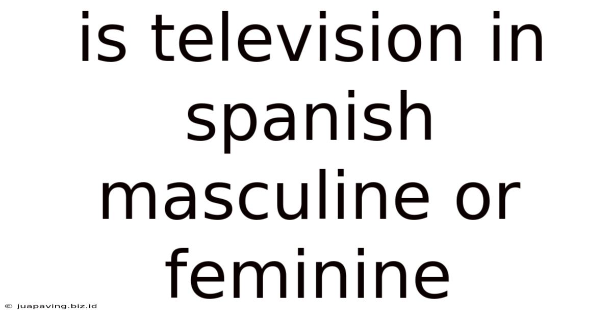 Is Television In Spanish Masculine Or Feminine