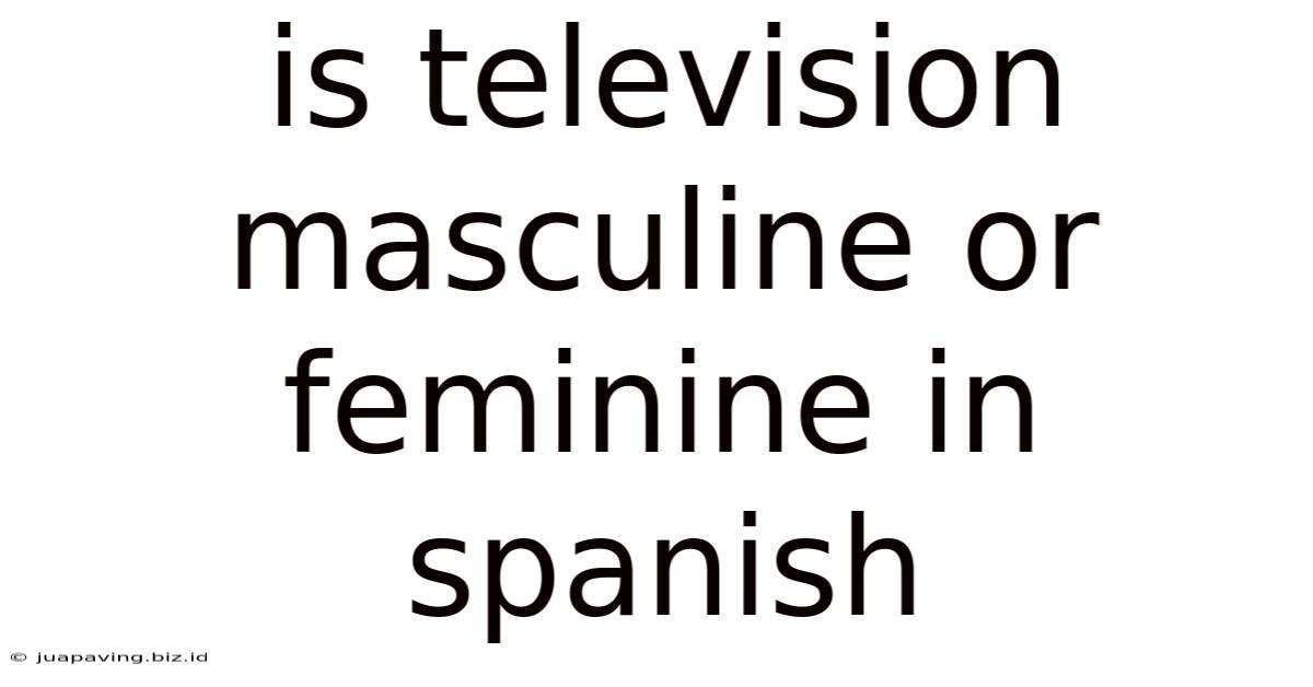 Is Television Masculine Or Feminine In Spanish