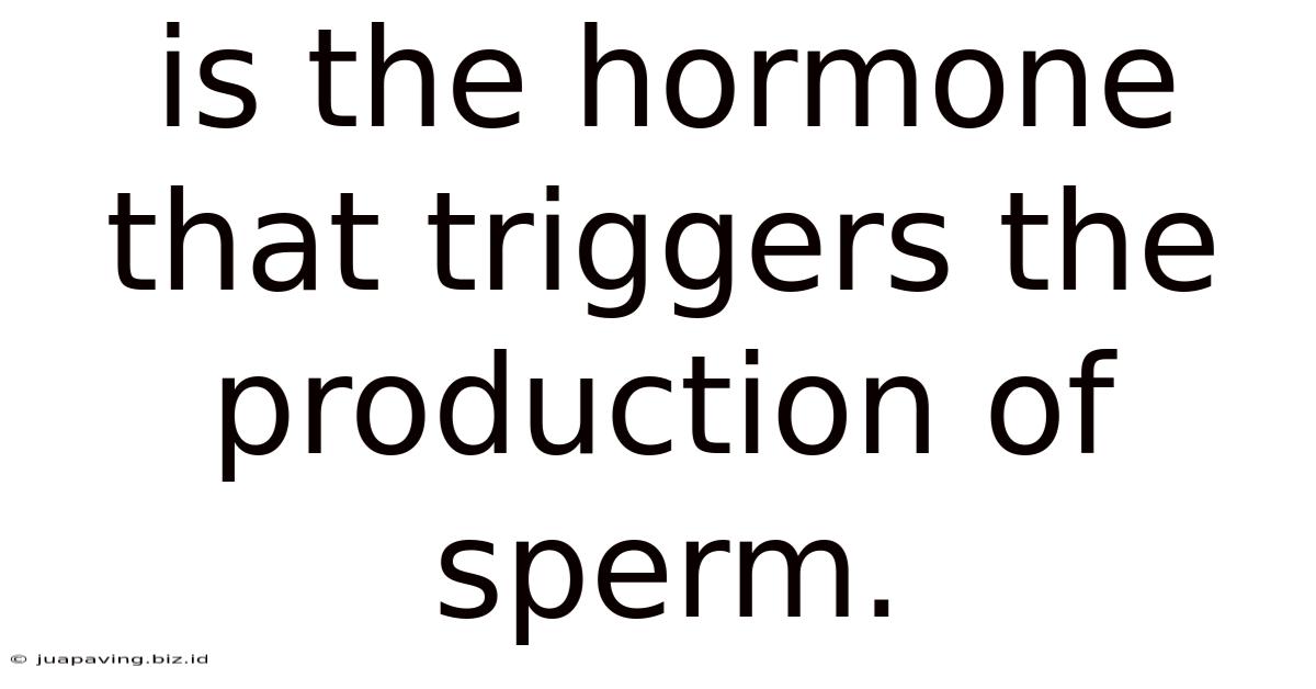 Is The Hormone That Triggers The Production Of Sperm.