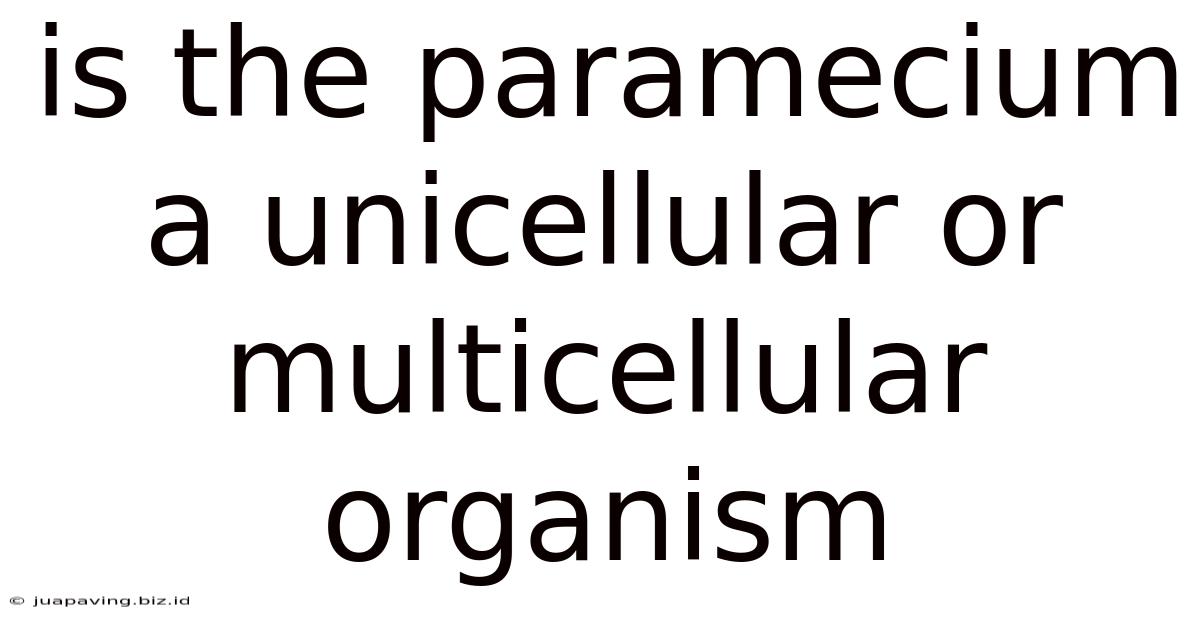 Is The Paramecium A Unicellular Or Multicellular Organism