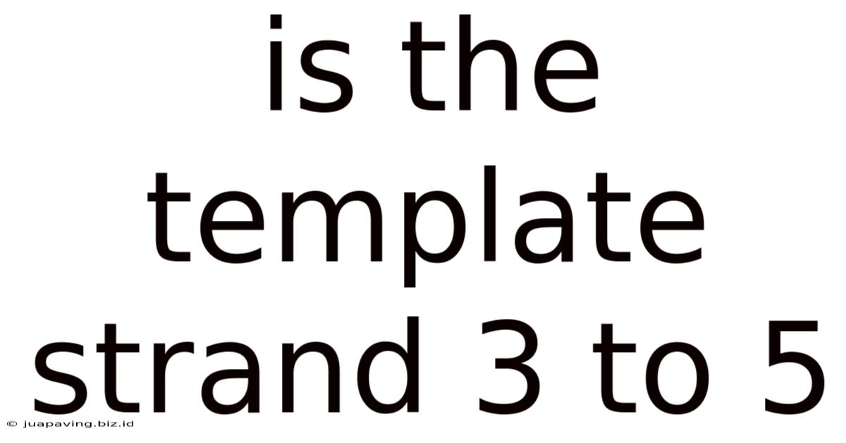 Is The Template Strand 3 To 5