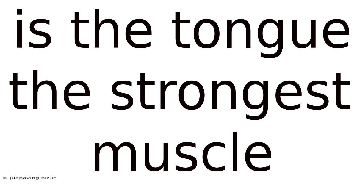 Is The Tongue The Strongest Muscle
