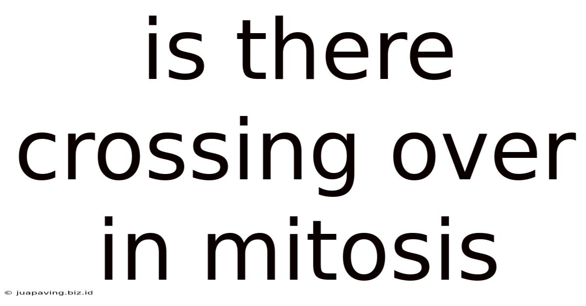 Is There Crossing Over In Mitosis