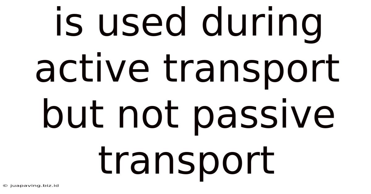 Is Used During Active Transport But Not Passive Transport