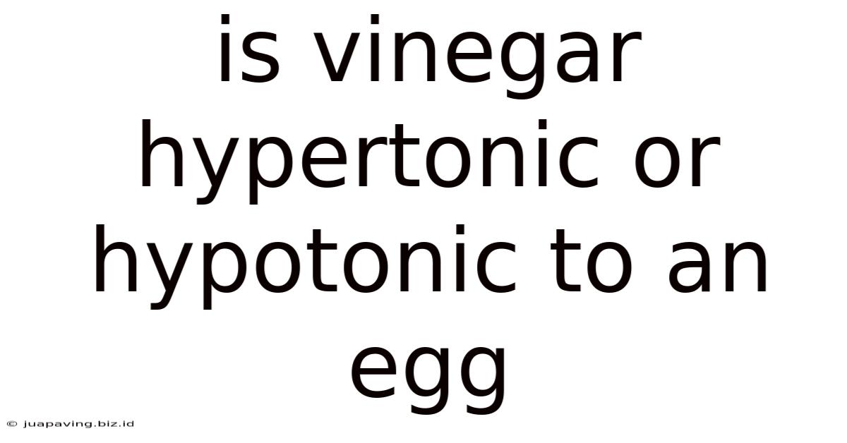 Is Vinegar Hypertonic Or Hypotonic To An Egg