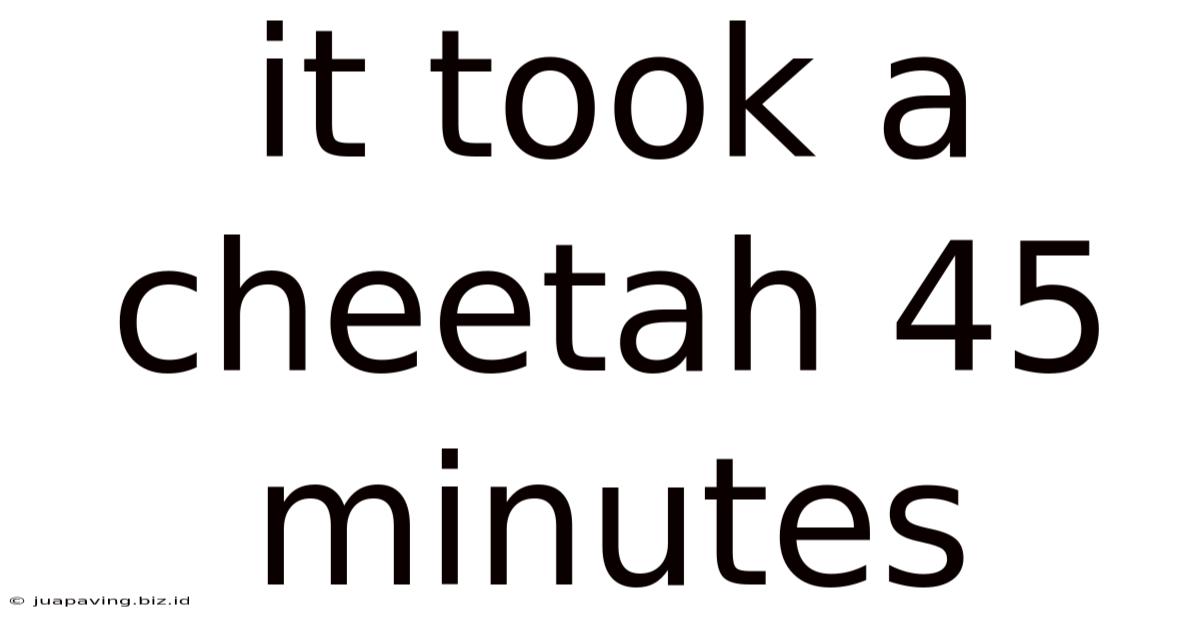 It Took A Cheetah 45 Minutes