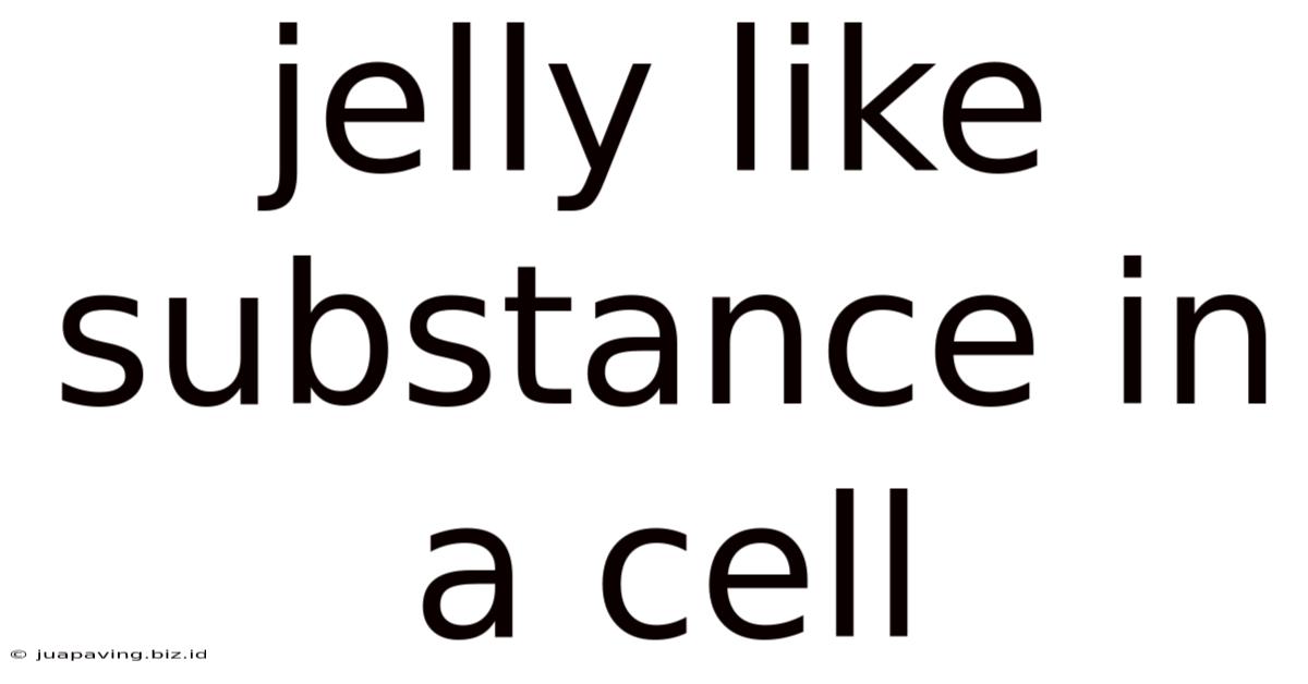 Jelly Like Substance In A Cell