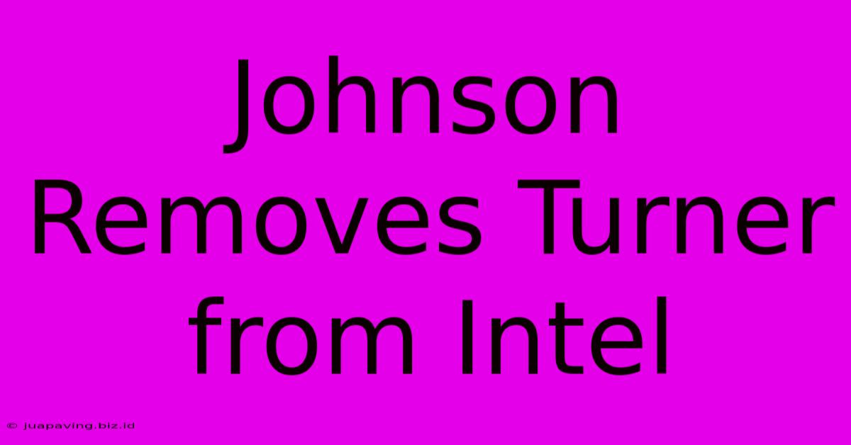 Johnson Removes Turner From Intel