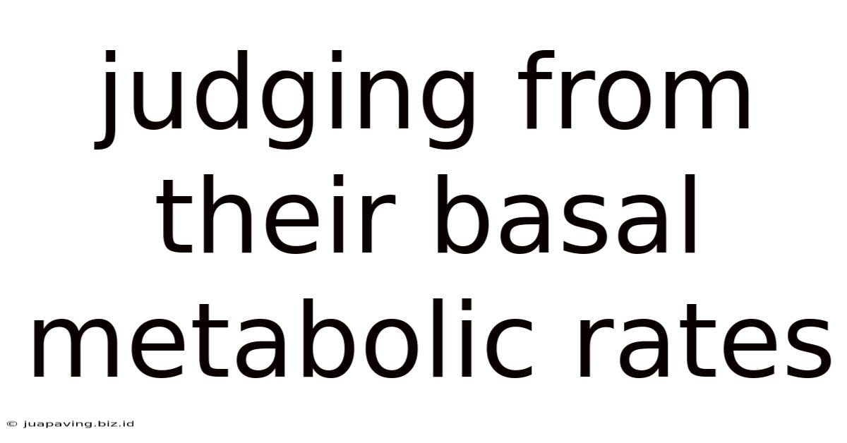 Judging From Their Basal Metabolic Rates