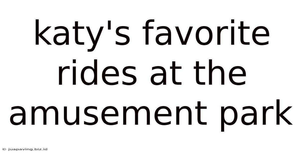 Katy's Favorite Rides At The Amusement Park