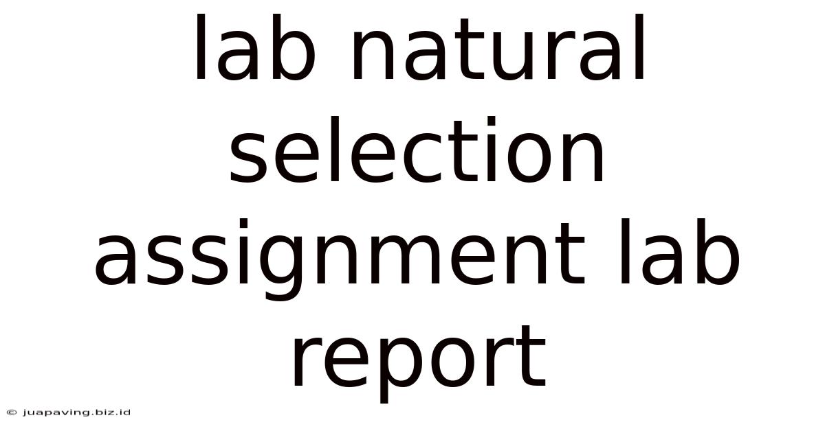 Lab Natural Selection Assignment Lab Report