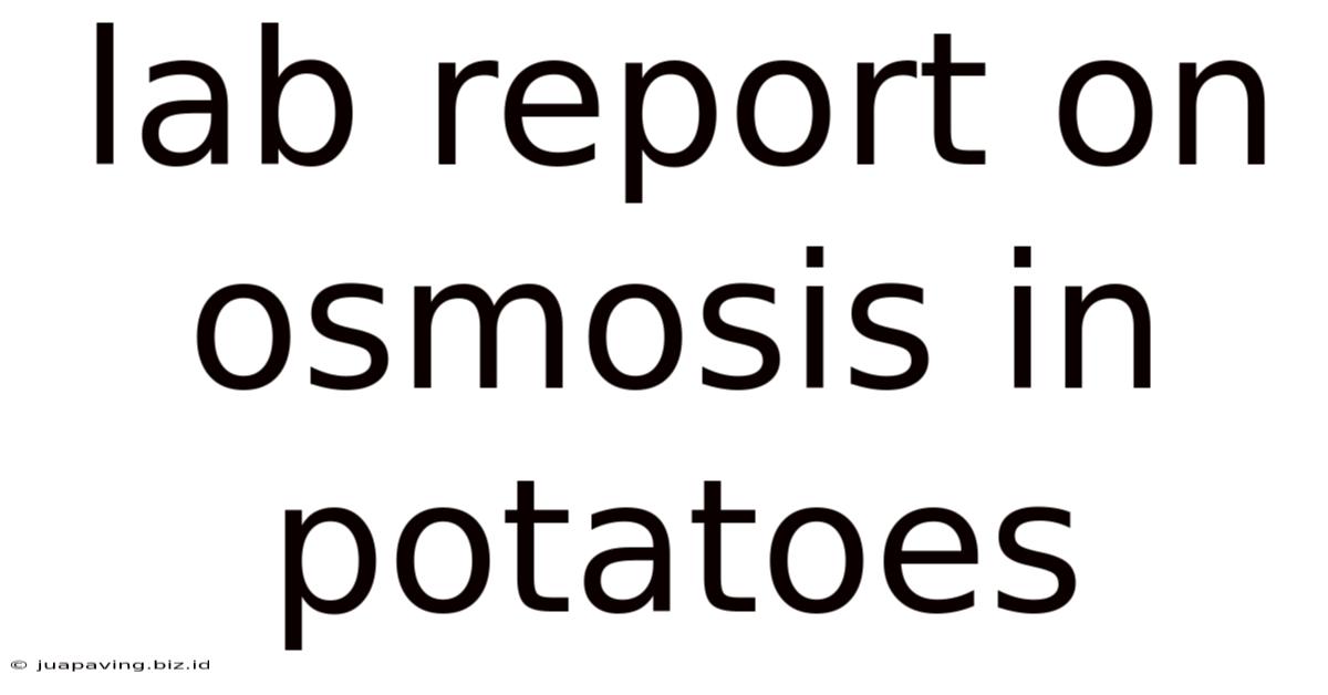 Lab Report On Osmosis In Potatoes