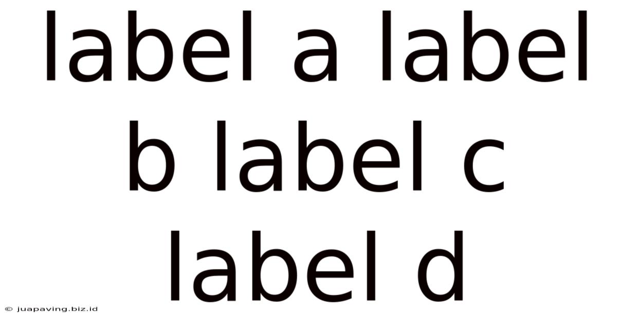 Label A Label B Label C Label D