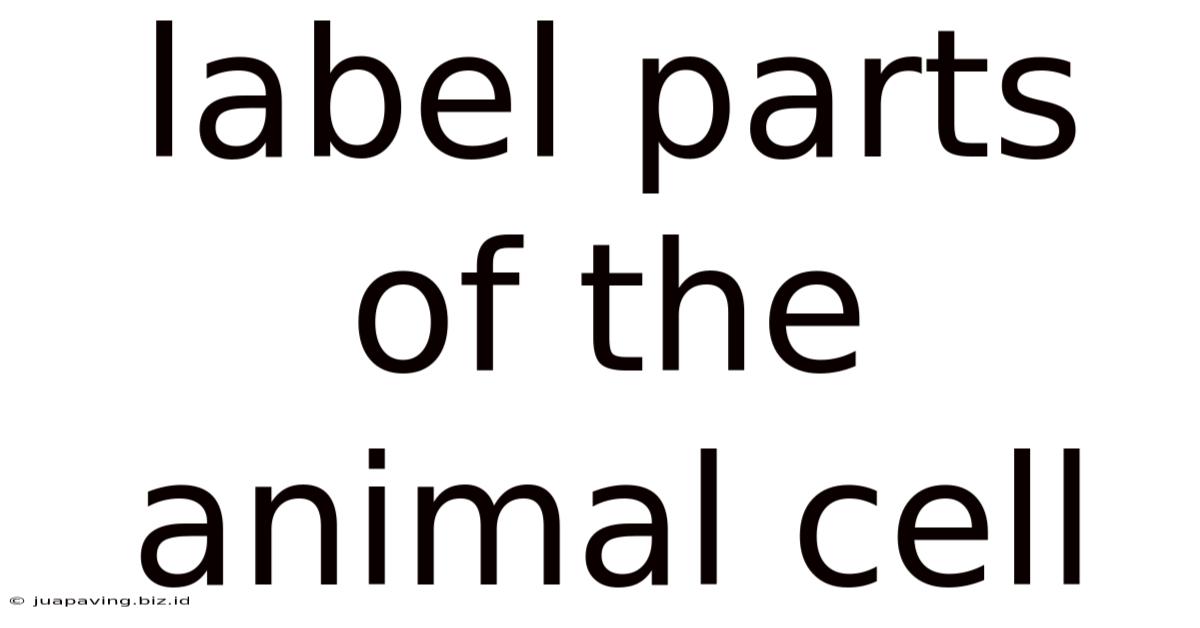 Label Parts Of The Animal Cell