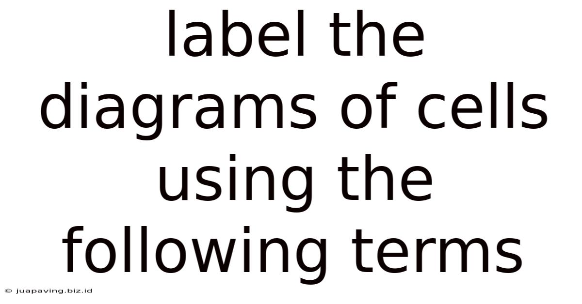 Label The Diagrams Of Cells Using The Following Terms