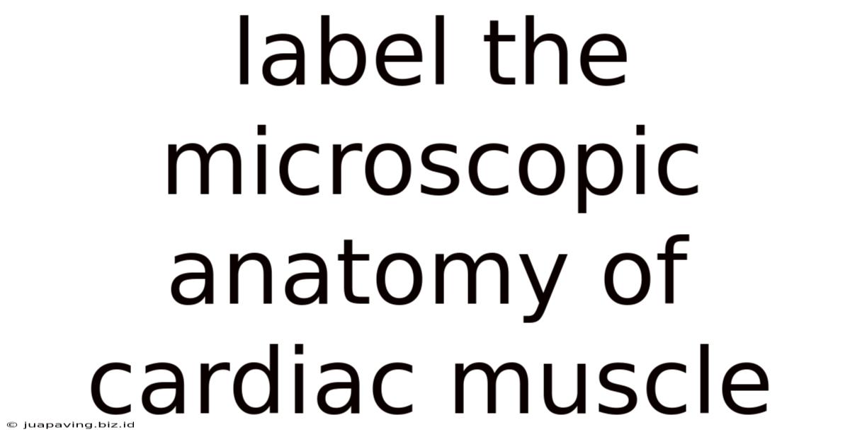 Label The Microscopic Anatomy Of Cardiac Muscle