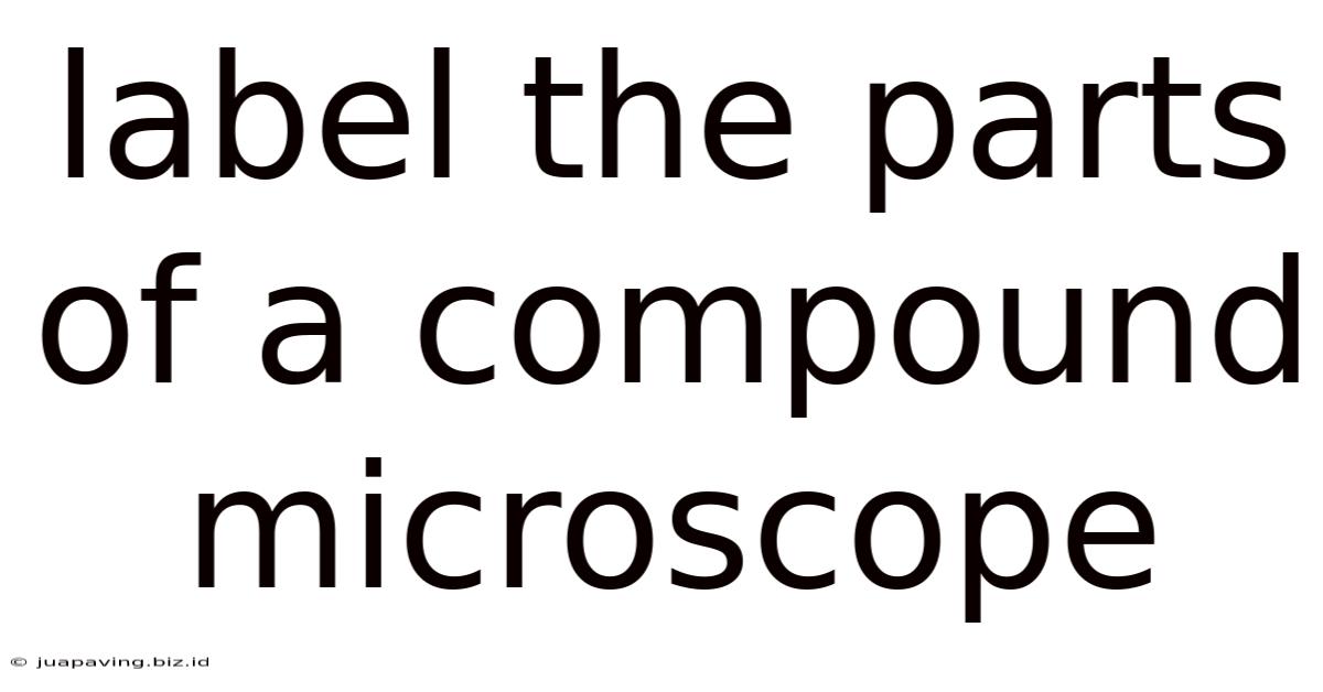 Label The Parts Of A Compound Microscope