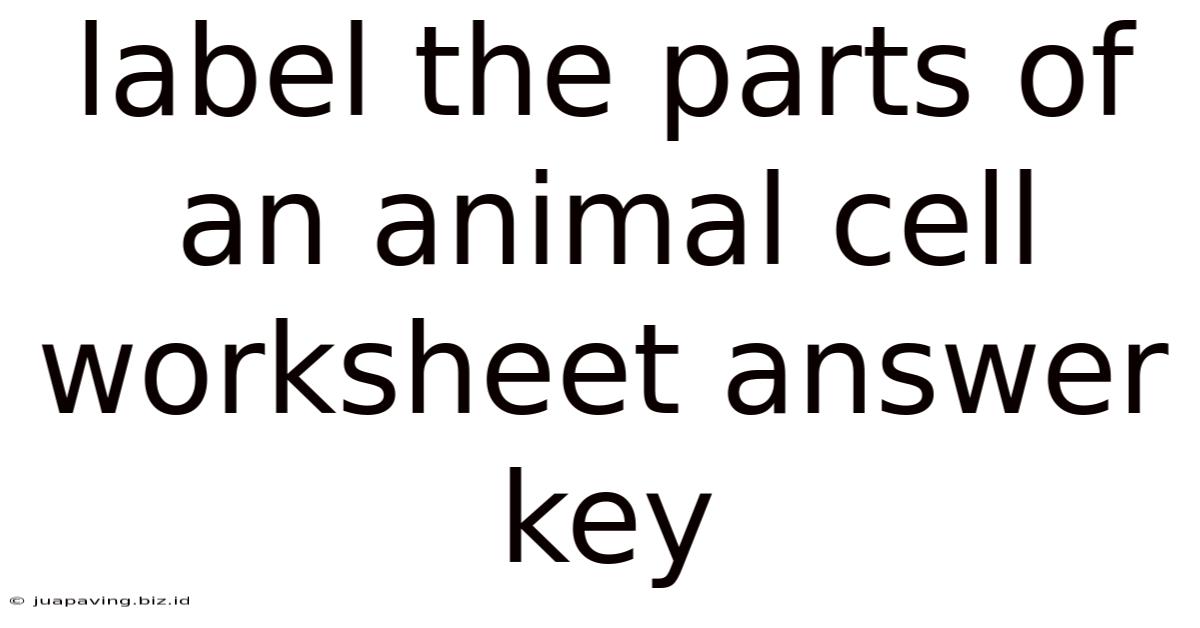 Label The Parts Of An Animal Cell Worksheet Answer Key
