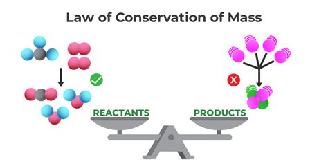 Law Of Conservation Of Mass In A Sentence