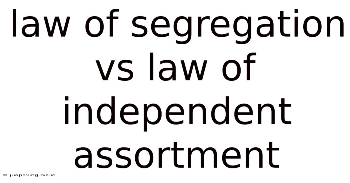 Law Of Segregation Vs Law Of Independent Assortment