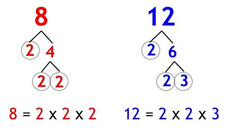 Lcm Of 12 4 And 8