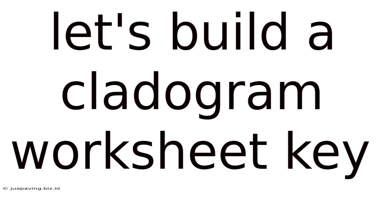 Let's Build A Cladogram Worksheet Key