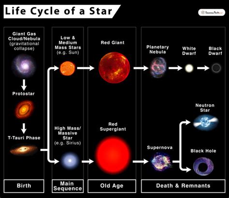 Life Cycle Of A Star Diagram