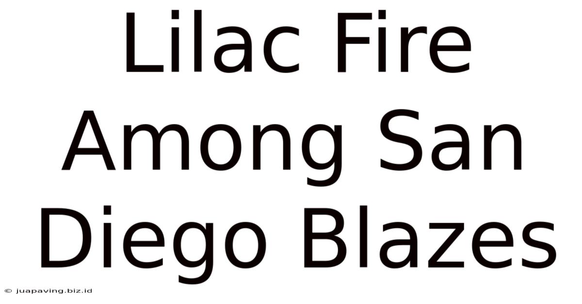 Lilac Fire Among San Diego Blazes