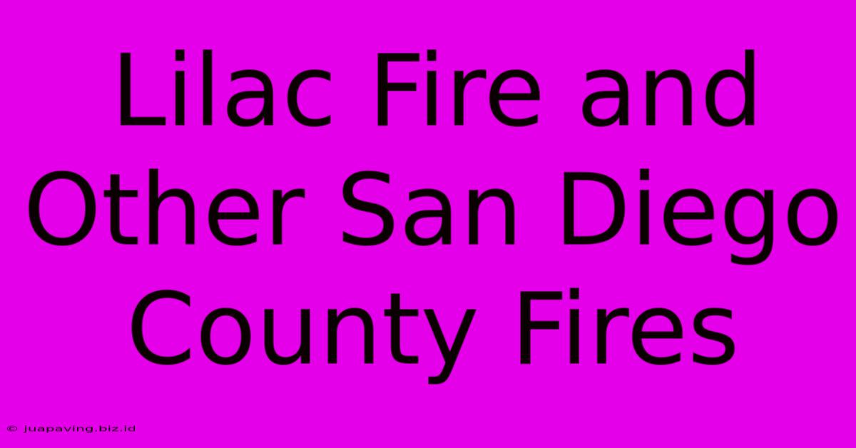 Lilac Fire And Other San Diego County Fires