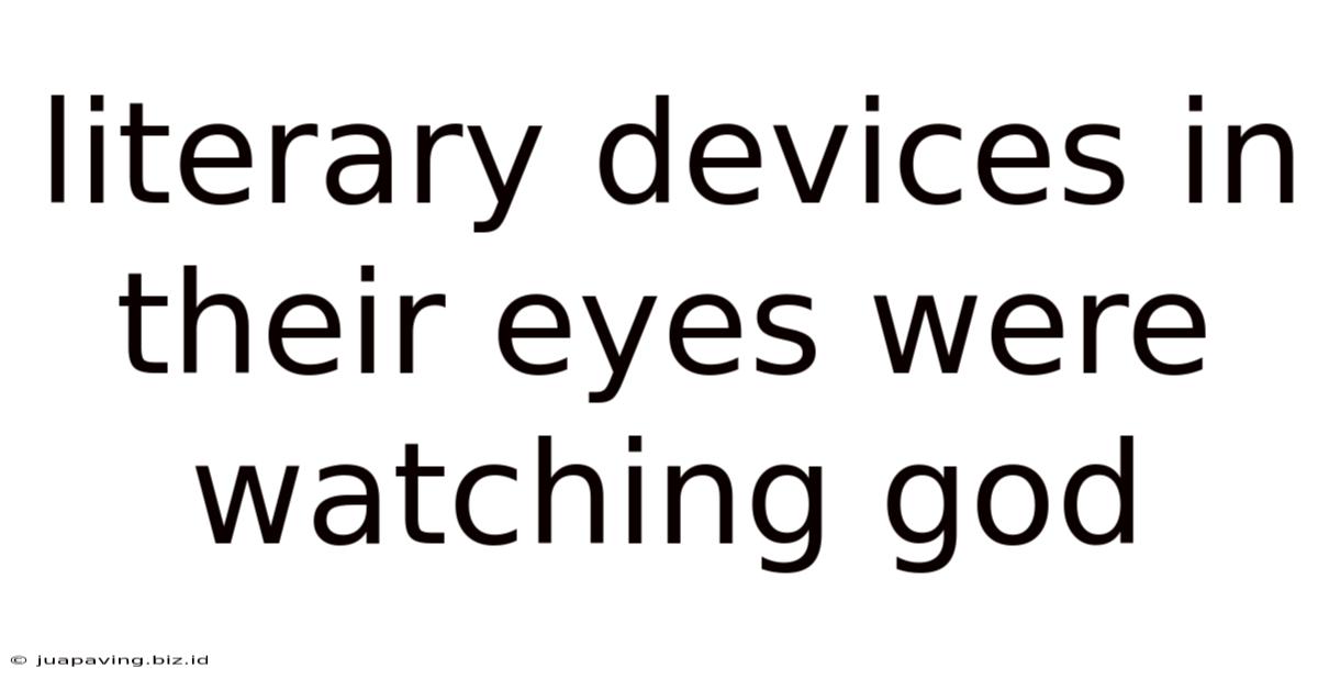Literary Devices In Their Eyes Were Watching God
