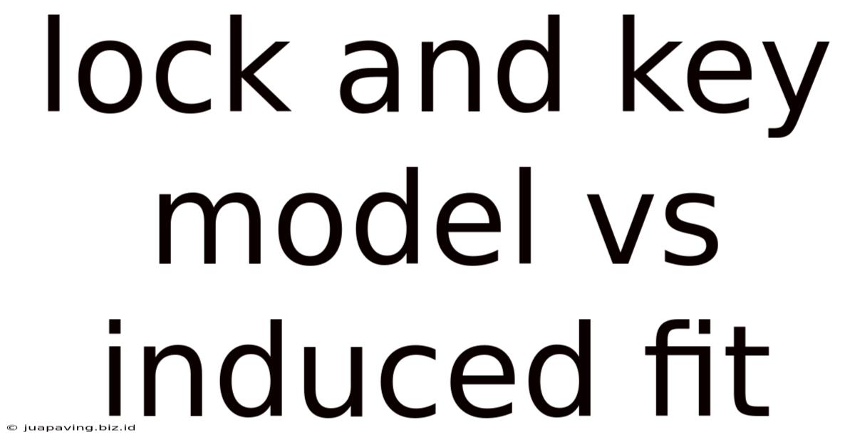 Lock And Key Model Vs Induced Fit