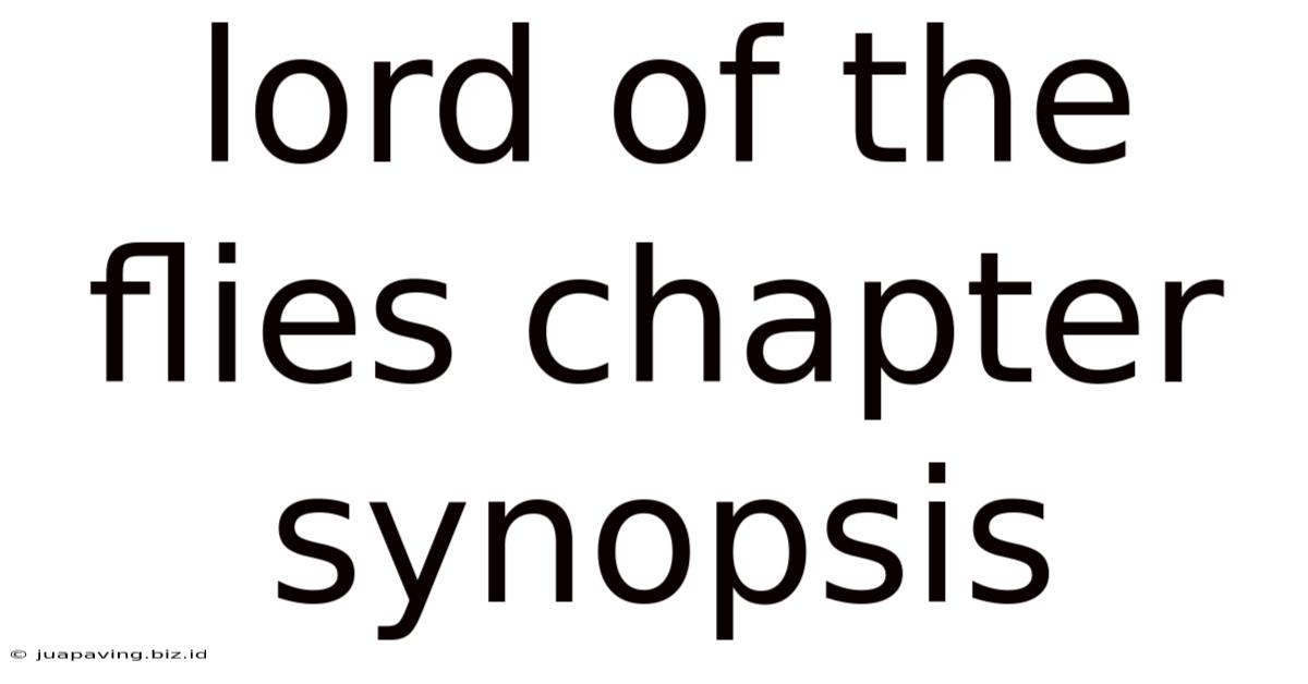 Lord Of The Flies Chapter Synopsis