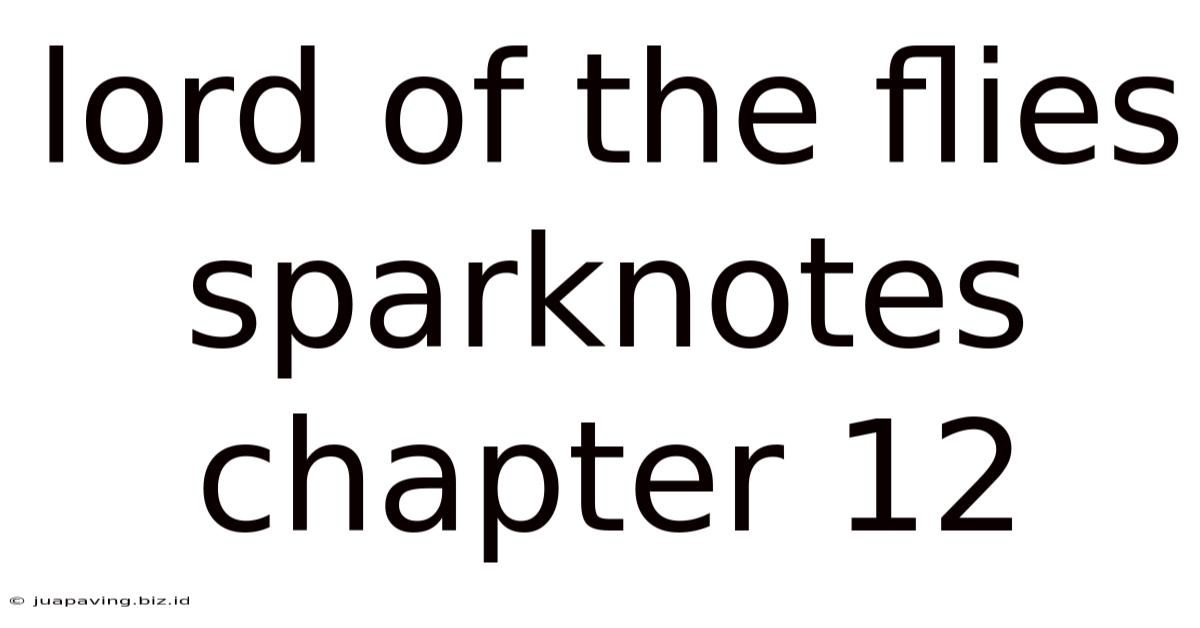 Lord Of The Flies Sparknotes Chapter 12