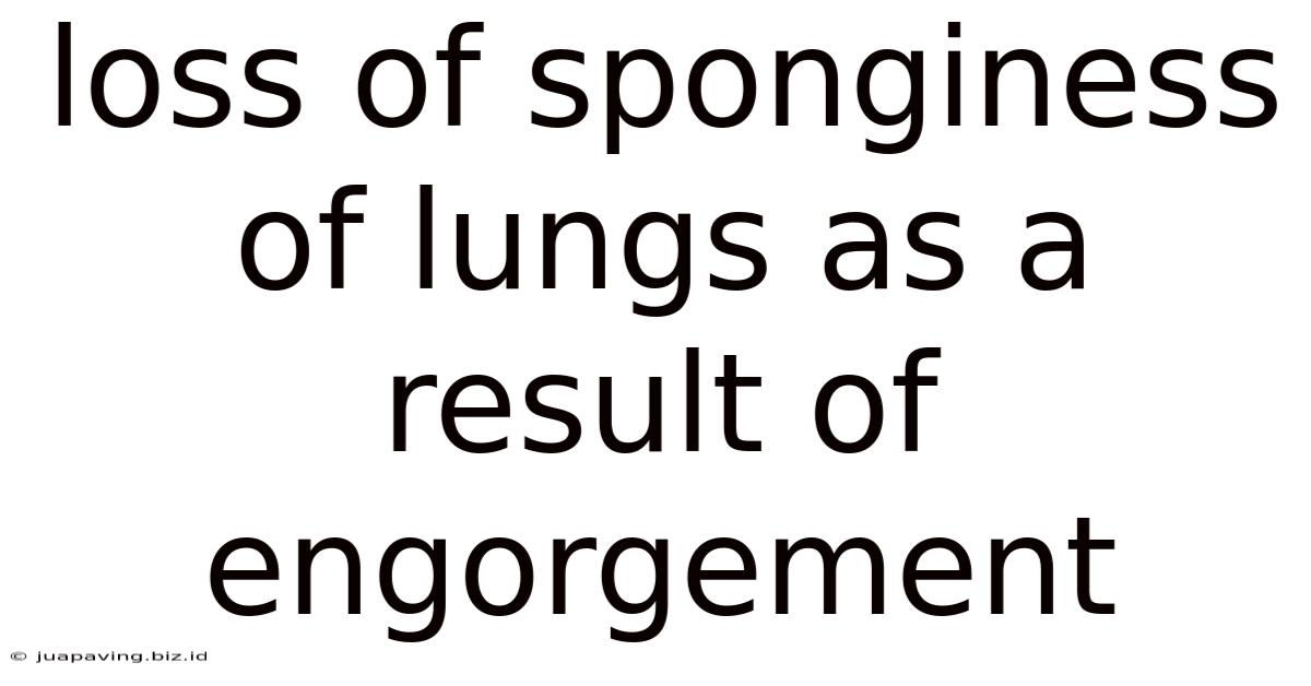 Loss Of Sponginess Of Lungs As A Result Of Engorgement