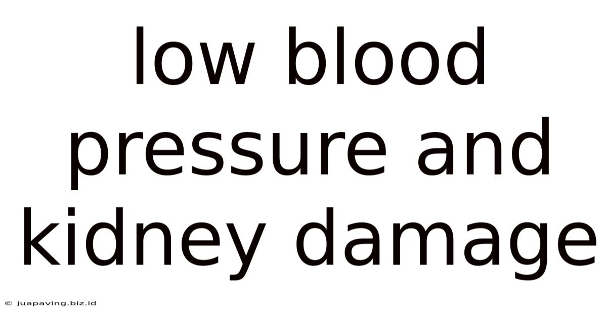 Low Blood Pressure And Kidney Damage