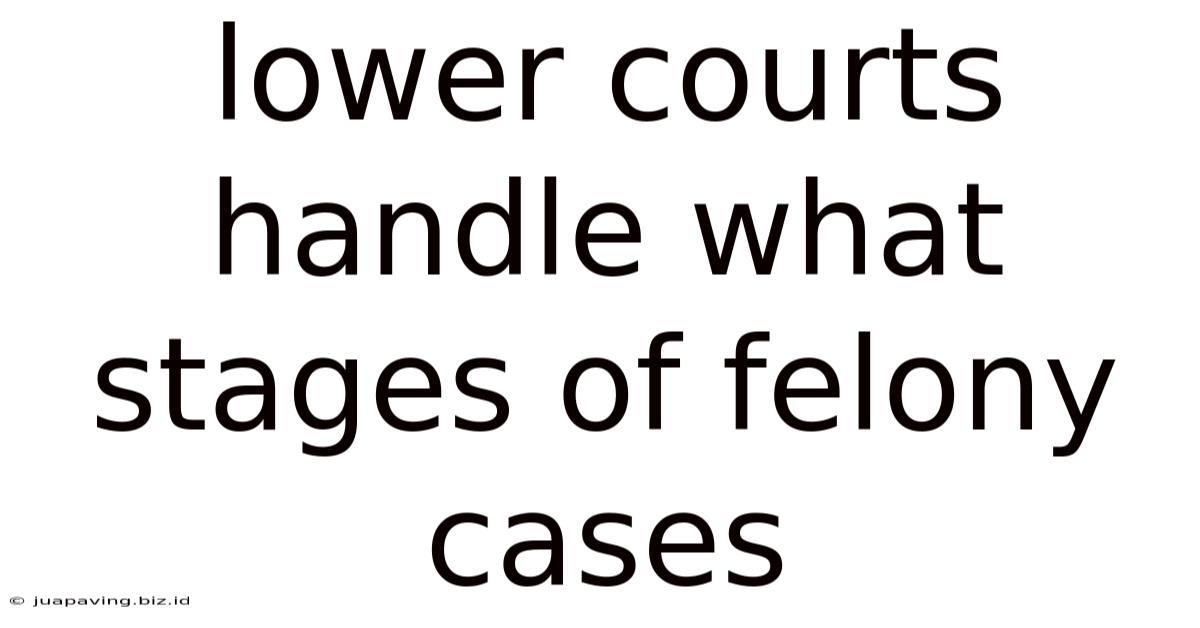 Lower Courts Handle What Stages Of Felony Cases