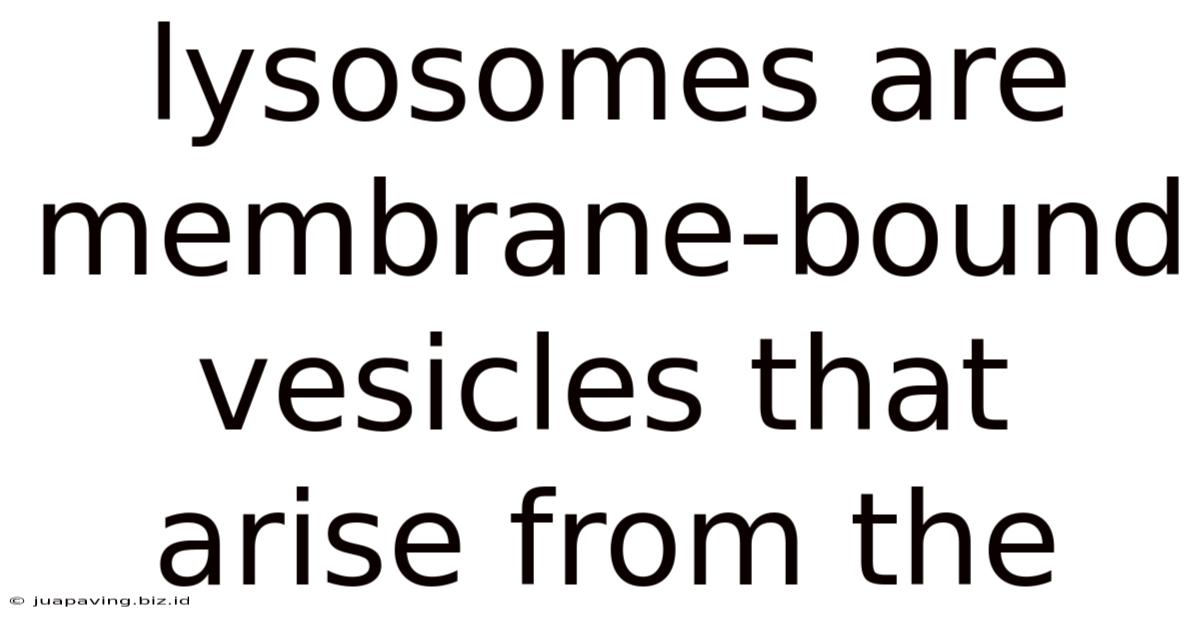 Lysosomes Are Membrane-bound Vesicles That Arise From The