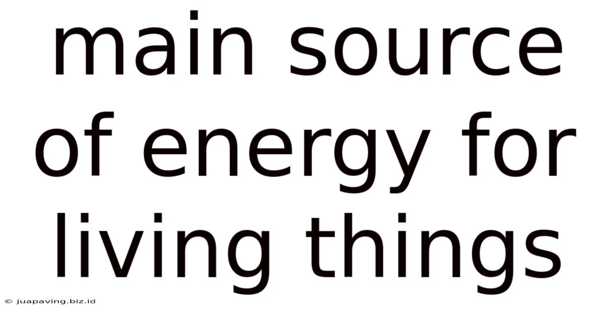 Main Source Of Energy For Living Things