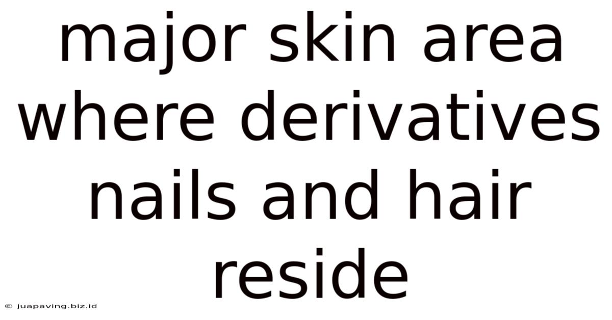 Major Skin Area Where Derivatives Nails And Hair Reside