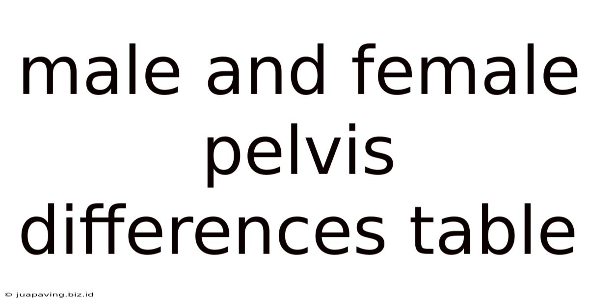 Male And Female Pelvis Differences Table