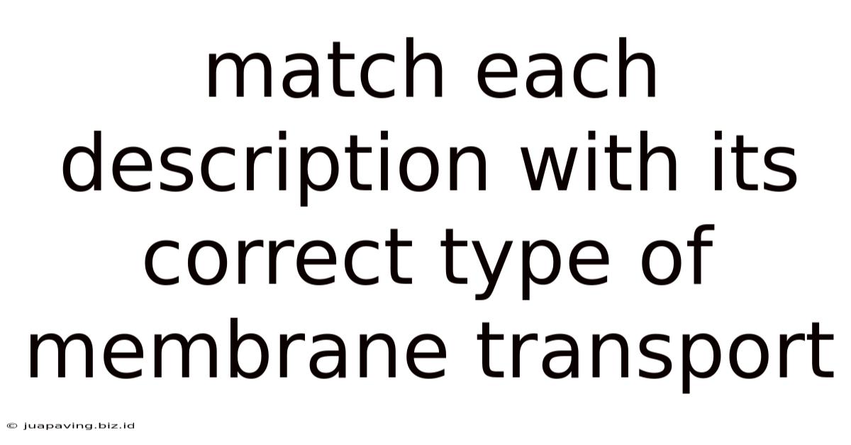Match Each Description With Its Correct Type Of Membrane Transport
