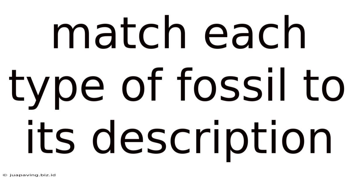 Match Each Type Of Fossil To Its Description