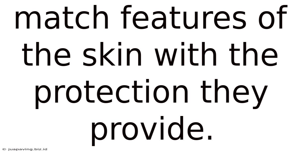 Match Features Of The Skin With The Protection They Provide.