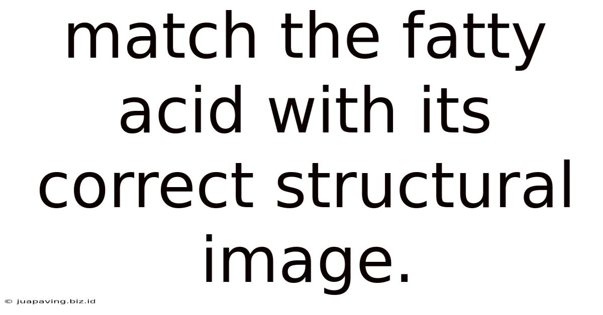 Match The Fatty Acid With Its Correct Structural Image.